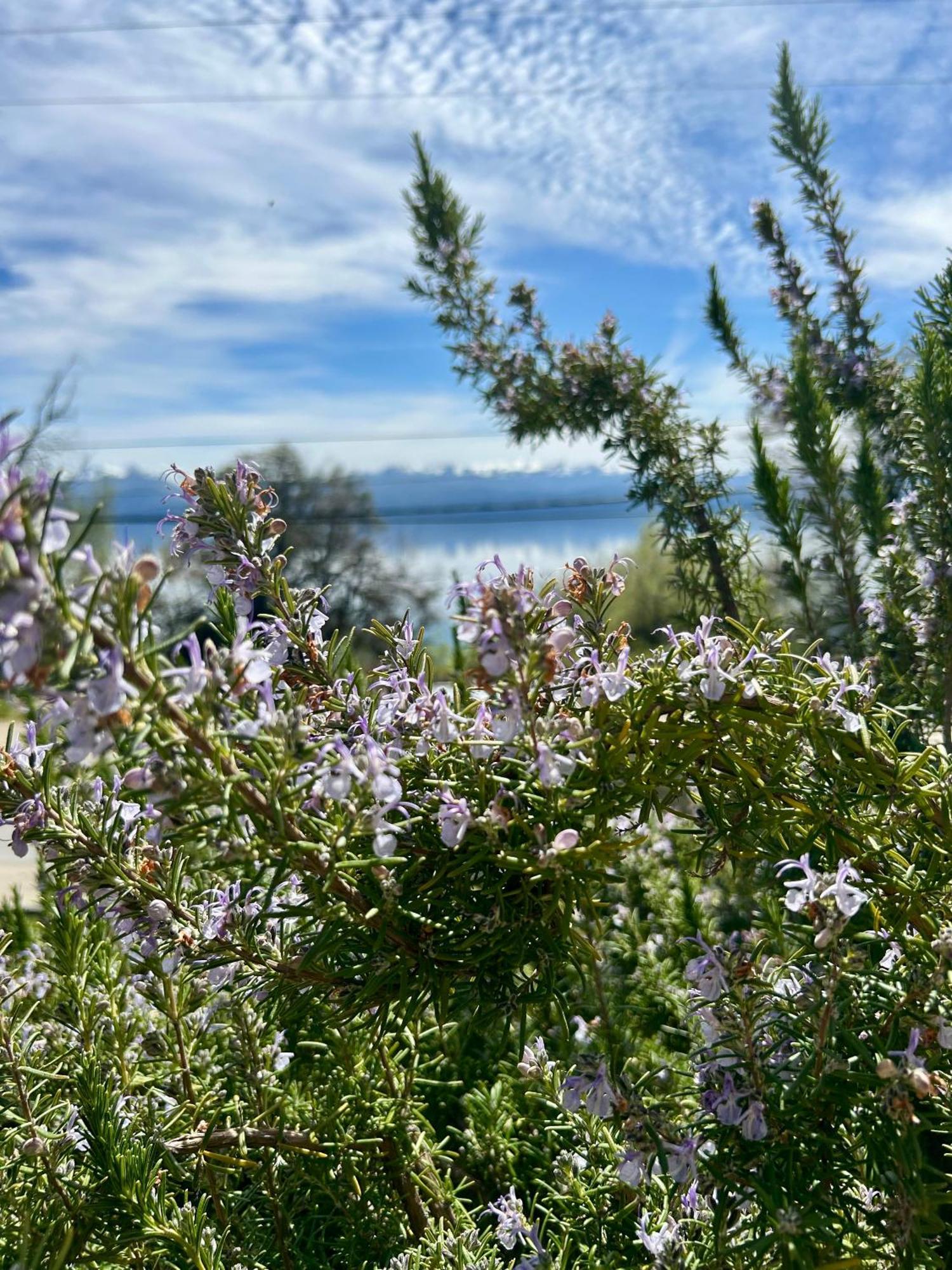 Bahia Paraiso Apart & Suites Bariloche Zewnętrze zdjęcie